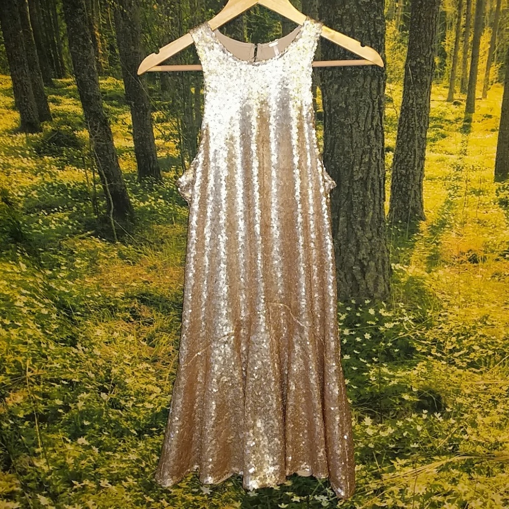 ✨Free People Mauve Sequin Party Dress ✨